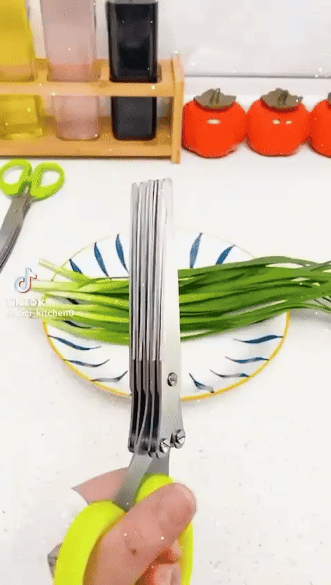5-Blade Herb Scissors – Stainless Steel Cutter with Cleaning Comb & Cover